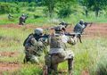 Dijaga Ketat Pasukan Militer Inilah Hewan Paling Berharga di Dunia, Spesiesnya Tinggal Satu, Hukuman Berat Menanti Siapa Saja yang Menyakitinya
