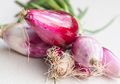 Sebelum Tidur Malam Ini, Coba Letakkan Potongan Bawang Merah di Kamar dan Rasakan Hasil Mengejutkan Ini!