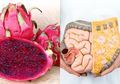 Ini Dia 7 Manfaat Kesehatan dari Buah Naga, Salah Satunya untuk Kesehatan Usus