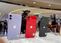 Diskon Harga iPhone 11 di iBox, Eraspace dan Digimap, Turun Hingga Rp 5,5 Juta!
