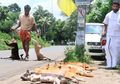 Bekerja Sebagai ‘Pembunuh Anjing Terlantar’, Pria Ini Tidak Kuasa Saat Bayinya Menjadi Penebus Dosanya Dan Mengalami Kondisi Hampir Sama Sebelum Akhirnya Meninggal Dunia