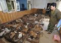 Tukang Daging Ini Dituduh Merebus Kucing Hidup-hidup dan Menjadikannya Dompet Serta Baju Lucu, 500 Kucing Dulu Juga Pernah Ketahuan Diangkut