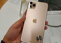 Cerita iPhone 11 Jatuh ke Dasar Danau Selama 2 Bulan dan Tetap Menyala