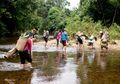 Dayak Melihat Dunia: Kearifan Lokal Masyarakat Sungai Utik KalBar Berbuah Equator Prize Award dari PBB