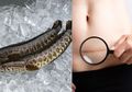 Ikan Gabus Solusi Luka Cepat Kering Pasca Sesar, Ini Buktinya