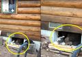 Dengar Suara Aneh dari Lantai, Keluarga Ini Temukan Hal Nggak Terduga di Bawah Rumah Mereka