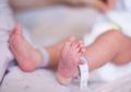 Tragis, Seorang Bayi di Kedoya Tewas Tersedak Pisang Akibat Ulah Ibunya