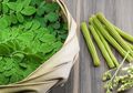 Ini 16 Manfaat Daun Kelor, Termasuk Biji Kelor, dari Diabetes Hingga Cegah Kanker, Tapi Hati-hati Efek Sampingnya