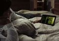 Netflix Luncurkan Serial Original Dokumenter Arashi's Diary -Voyage-
