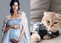 Ingin Cepat Hamil Jauhi Kucing, Bisa Membuat Wanita Mandul, Tapi Buktinya Paula Verhoeven Punya Banyak Kucing Sebentar Lagi Lahiran