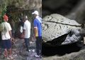 Harus Tumbalkan Seekor Ayam untuk Sekali Masuk, Gua di NTT Ini Terungkap Jadi Istana untuk Para Reptil Tak Berkaki, Sesosok Ular Putih Raksasa Disebut Jadi Sang Raja Satu-satunya