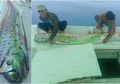 Ikan Oarfish yang Hidup di Laut Dalam Muncul ke Permukaan dan Hebohkan Warga, Benarkah Pertanda Gempa dan Tsunami?