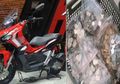 Bikin Pusing hingga Kelimpungan, Pria Beli Motor Pakai Uang Receh Rp 14 Juta, Kasihan Karyawan yang Menghitungnya sampai 6 Jam!