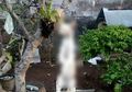 Gantung Kucing karena Makan Burung Merpati Miliknya, Aksi Keji Pria Ini Viral