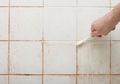 Kamar Mandi Terlihat Kusam? Yuk, Bersihkan Nat Kamar Mandi dengan Dua Bumbu Dapur Ini, Mau Coba?