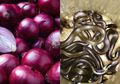 Viral Kabar Bawang Merah Ampuh Sembuhkan Gigitan Ular Kobra, Benarkah?