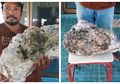 Mengais Sampah di Pinggir Pantai, Pemulung Ini Justru Dapatkan Rejeki Besar, Baunya Wangi Saat Dibakar, Harganya Capai Rp 9 Miliar