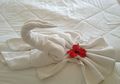 Jangan Asal Duduk dan Pakai! Dokter Ini Ungkap Fakta Menjijikkan Soal Kursi dan Handuk di Kamar Hotel!