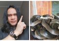 Heboh Teror Ular Kobra Masuk Rumah, Paranormal Kondang ini Berikan Peringatan: Pertanda Datangnya Penyakit Misterius!