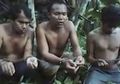 Breaking News: 2 dari 3 Warga Indonesia yang 90 Hari Disandera Abu Sayyaf Berhasil Dibebaskan