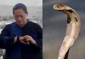 Warga Resah Akibat Munculnya Ular Kobra, Mbak You Terawang Fenomena Aneh Ini dan Sebut Alam Sudah Tua