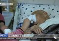 Selama 70 Tahun Sembunyikan Masa Lalunya dari Keluarganya, Rahasia Besar Kakek 91 Tahun Ini Akhirnya Terungkap, Ternyata Dia Bukan Orang Sembarangan