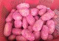 Ada Kue Peler Berdebu, Ini 5 Kue dengan Nama Nyeleneh di Kepulauan Seribu