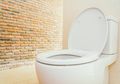 Hadir Toilet Pintar yang Diklaim Dapat Memantau Kesehatan Penggunanya, Salah Satunya Melalui Waktu Menjatuhkan Tinja Pertama Kali, Bagaimana Cara Kerja Toilet Ini?
