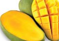 Manfaaat 14 Buah Mangga Harum Manis, dari Memerangi Kanker Hingga Afrodisiak