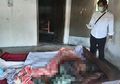 Aroma Busuk Tercium Kemana-mana, Ibu Ini Telah Meninggal Selama Sepekan di Dalam Kamar, Namun Anehnya Sang Anak Tak Mengizinkan Siapapun Mengurus Jenazahnya