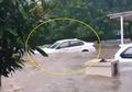 Viral Video Mobil BMW di BSD Hanyut Terbawa Banjir, Berhasil Selamat setelah Nyangkut di Pohon