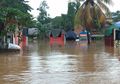 Banjir di Jakarta Hingga Wilayah Sekitarnya, Ini yang Bisa Dilakukan untuk Tamanmu Saat Tergenang Banjir