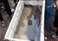 Warga Sekampung Heboh Lihat Penampakan Hasil Tangkapan Jaring Seorang Warga: Serem Ya, Gede Banget!