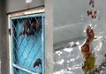 Banjir Januari 2020, Tak Mau Kalah dari Manusia Ini Fakta Tikus dan Kecoa Tidak Sudi Kebanjiran, Padahal Hewan Itu Biang Kerok Penyakit Mematikan Saat Banjir