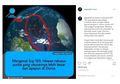 Viral Kabar Monster Purba Sepanjang 8.000 Km Tinggal di Laut, Begini Penjelasan Ahli