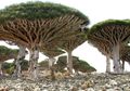 Indah dan Unik, 10 Tempat Ini Bikin Berasa Lagi di Planet Lain