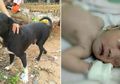 Seekor Anjing Menemukan Bayi yang Dikubur Hidup-hidup, Ternyata yang Membuangnya Adalah Ibu Berusia 15 Tahun, Alasan Buang Bayinya Sungguh di Luar Nalar!