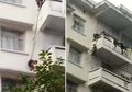 Demi Selamatkan Seekor Kucing, Pasangan Lansia Ini 'Menggantung' Cucunya yang Berusia 7 Tahun dengan Seutas Tali dan Membahayakan Nyawanya, Kok Bisa?