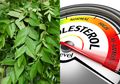 Tidak Hanya untuk Masakan Ini 15 Manfaat Kesehatan Daun Kari, dari Turunkan Kadar Kolesterol Hingga Melawan Kanker