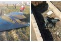 Sebuah Pesawat Ukraina Jatuh di Iran, Terkuak Fakta Mengejutkan Dibaliknya, Ternyata Ada Benda Mengerikan ini Di Lokasi Kecelakaan!