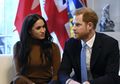 Sebelum Pangeran Harry, 4 Anggota Keluarga Kerajaan Inggris Ini Juga Mundur dari Tugasnya, Salah Satunya Putri Diana