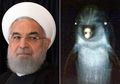 Bukan Hewan Sembarangan, Lumba-lumba Ini Adalah Pasukan Milter Iran Dilatih Membantai Musuh dan Sanggup Menghancurkan Kapal Selam dengan Cara Ini