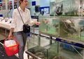 Moms Ingin Masak Makanan Laut Tapi Bingung Pilihnya? Dokter Reisa Broto Asmoro Punya Tips Pilih Makanan Laut