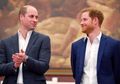 Pangeran Harry Memutuskan Mundur dari Kerajaan, Pangeran William Curhat ke Teman: Saya Tak Bisa Merangkul Saudara Saya Lagi