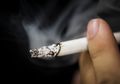 Berita Kesehatan Flu: Paparan Asap Rokok dan Virus Influenza Dapat Cegah Kinerja Obat