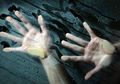 Teriakan Minta Tolongnya Terdengar Sangat Menyedihkan Hingga Polisi Segera Merespons untuk Menolong, Namun Makhluk Ini Malah Bikin Polisi Shock saat Tahu Siapa Dirinya