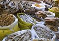 Jangan Takut Konsumsi Ikan Asin, Mengolah dan Aturan Makannya Tepat Manfaat Kesehatannya Didapat