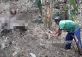 Tangannya Menyembul dari Dalam Tanah Secara Misterius, Mayat Pria Ini Bikin Geger Warga Kabupaten Bogor, Polisi Berhasil Ungkap Fakta Sebenarnya