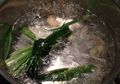 Coba Minum Air Rebusan Daun Pandan Setiap Hari, Ini Perubahan yang Akan Terjadi pada Tubuh, Mau Coba?