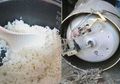 Nasi di Rumahnya Cepat Basi, Laki-Laki Ini Kaget Setelah Mengetahui Penyebabnya!